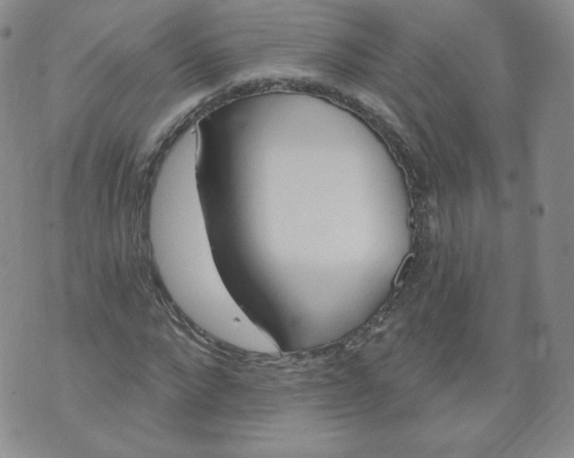 X0000074280872200609151849