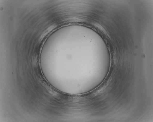 X0000074280873200609151849