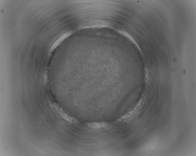 X0000074280874200609151849