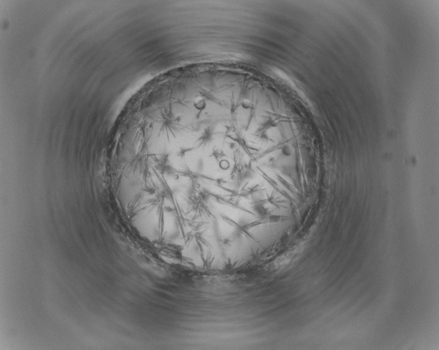 X0000074280875200609151849