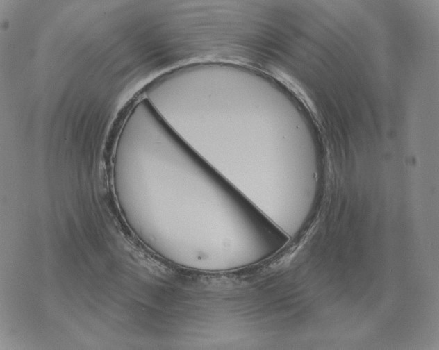 X0000074280876200609151849