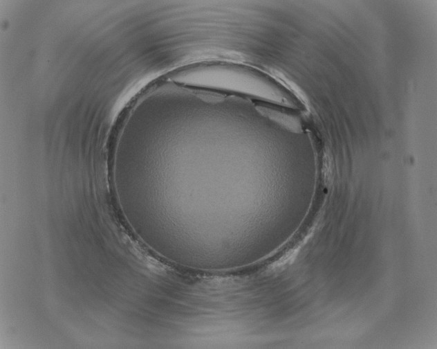 X0000074280877200609151849