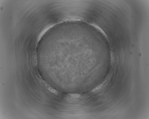 X0000074280878200609151849