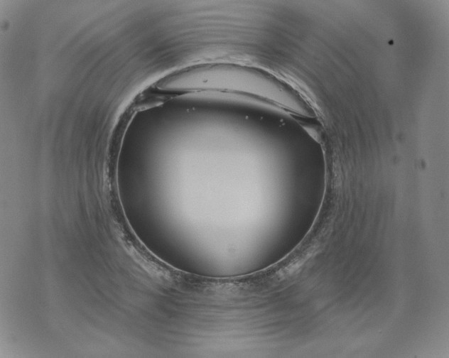 X0000074280880200609151849