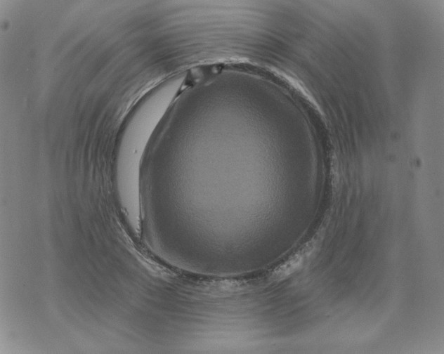 X0000074280881200609151849