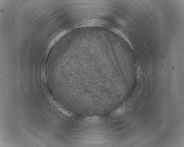 X0000074280882200609151849