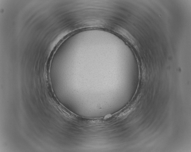 X0000074280883200609151849