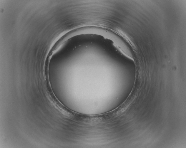 X0000074280884200609151849