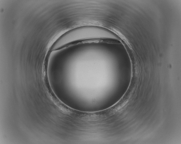 X0000074280885200609151849