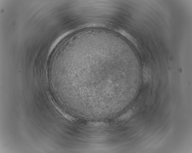 X0000074280886200609151849