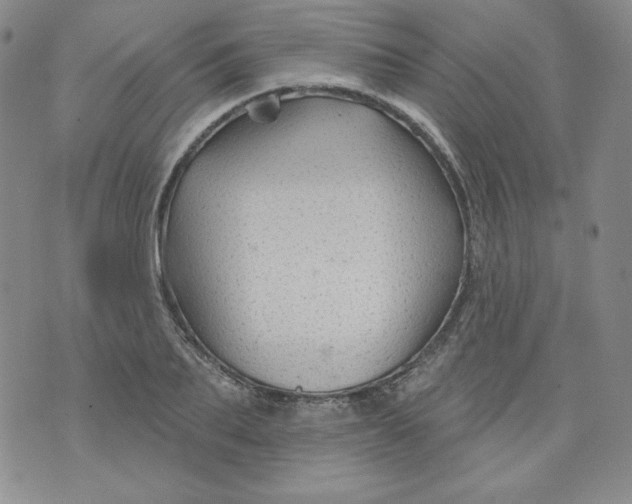 X0000074280887200609151849