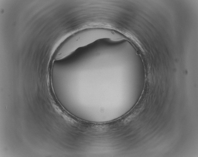 X0000074280888200609151849