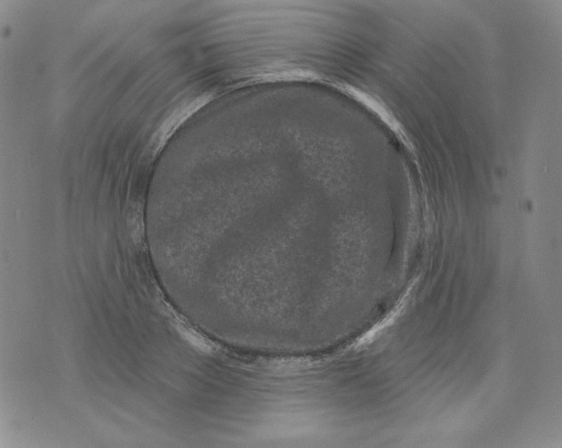 X0000074280889200609151849