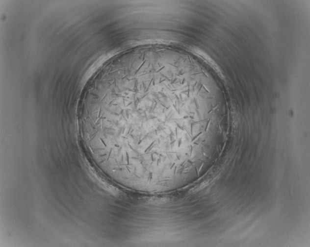 X0000074280890200609151849