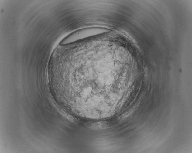 X0000074280891200609151849