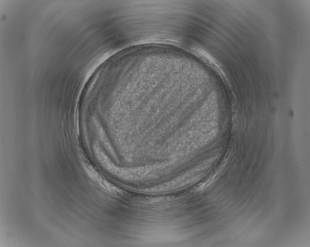 X0000074280892200609151849