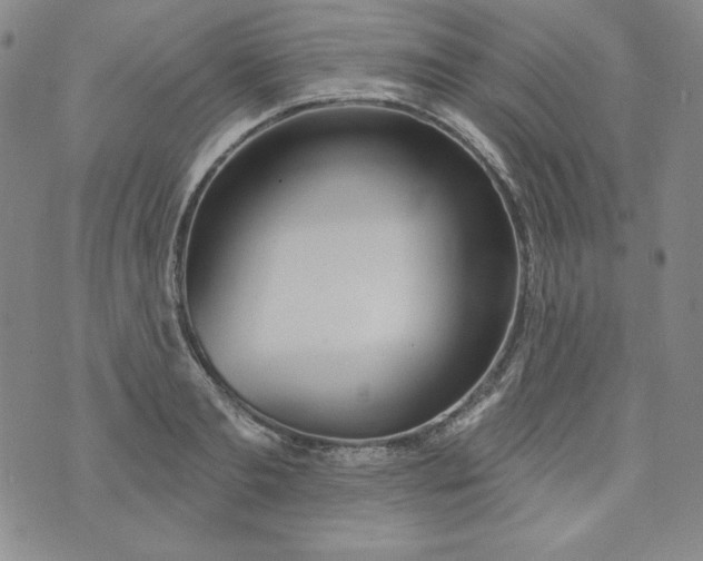 X0000074280893200609151849