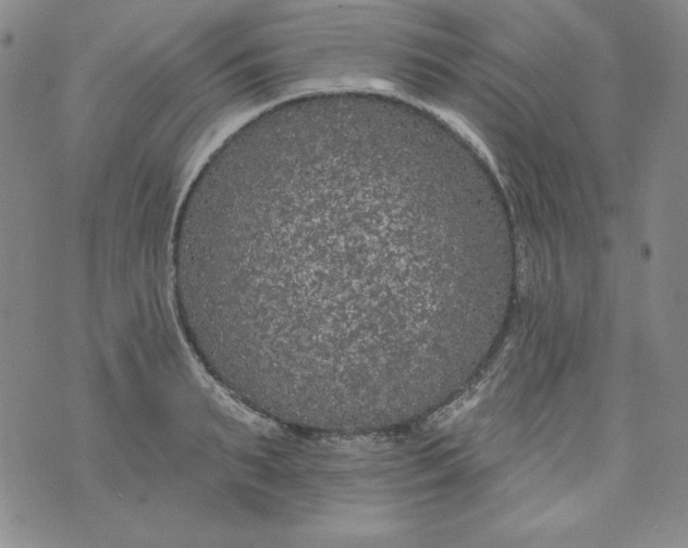 X0000074280895200609151849