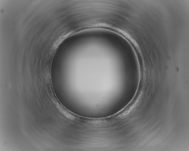 X0000074280897200609151849