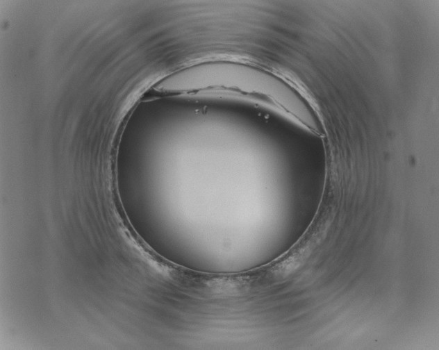 X0000074280898200609151849