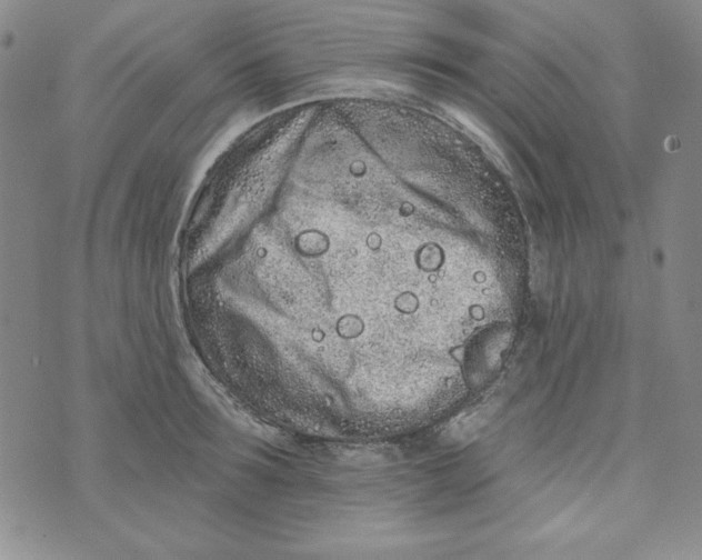 X0000074280899200609151849