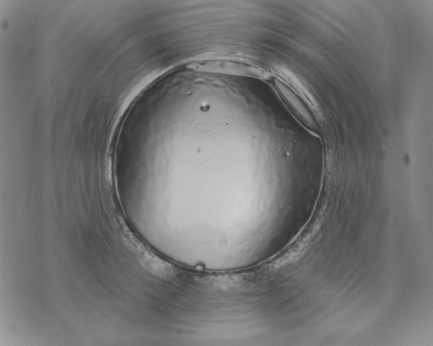 X0000074280900200609151849