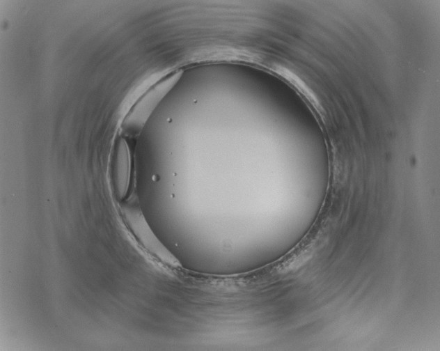 X0000074280901200609151849