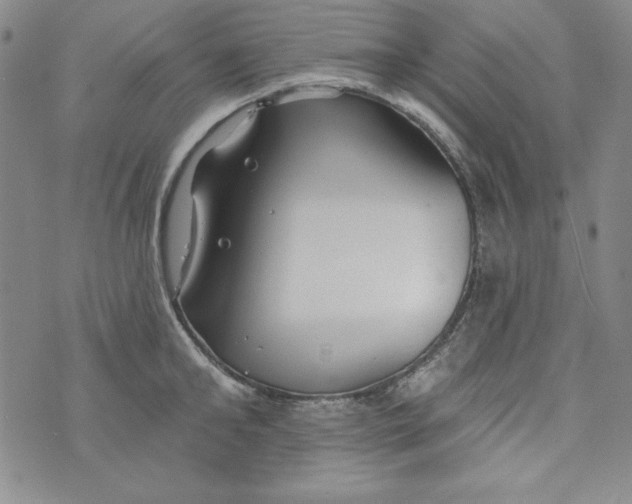 X0000074280902200609151849