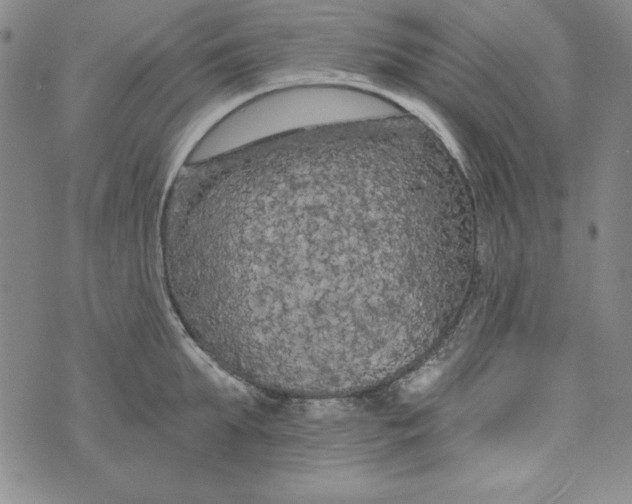 X0000074280903200609151849