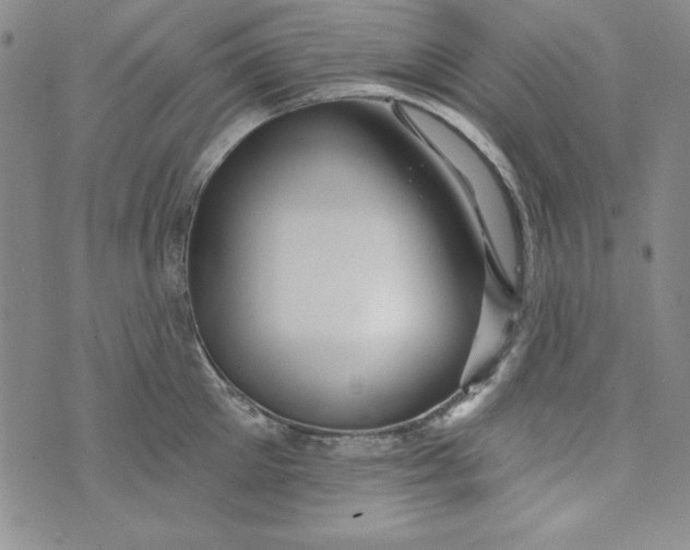 X0000074280905200609151849