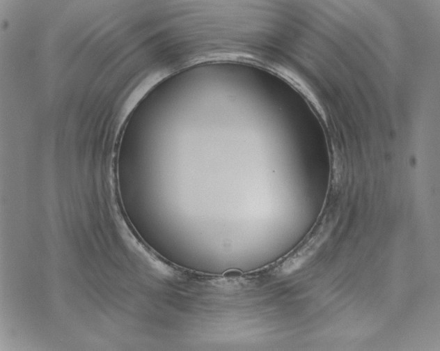 X0000074280906200609151849