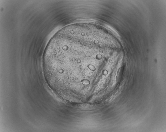 X0000074280907200609151849