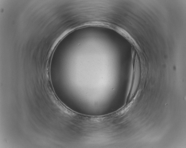 X0000074280908200609151849