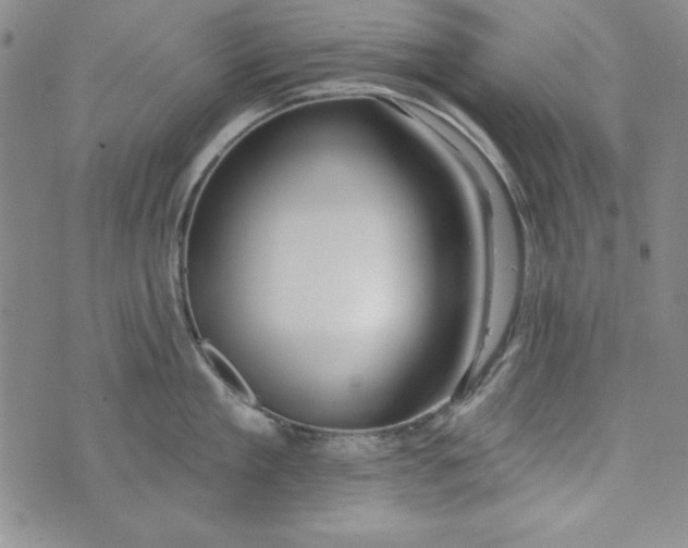 X0000074280909200609151849