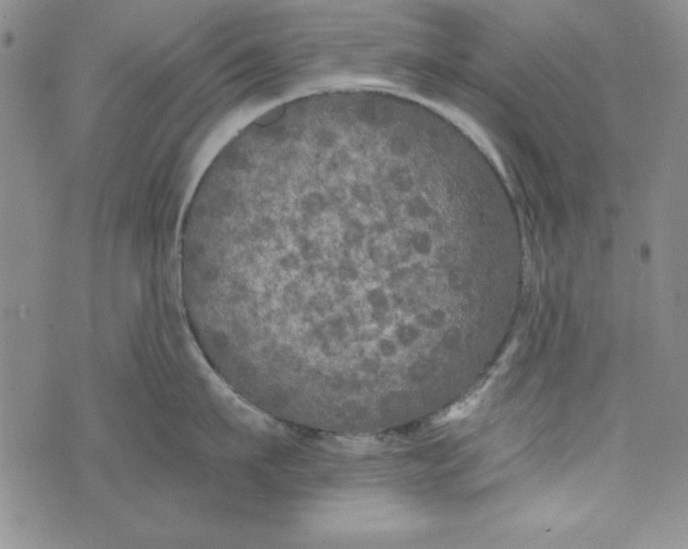 X0000074280911200609151849