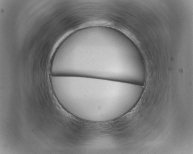 X0000074280912200609151849