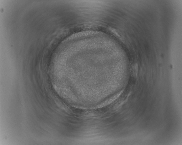 X0000074280913200609151848