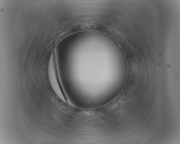 X0000074280914200609151848