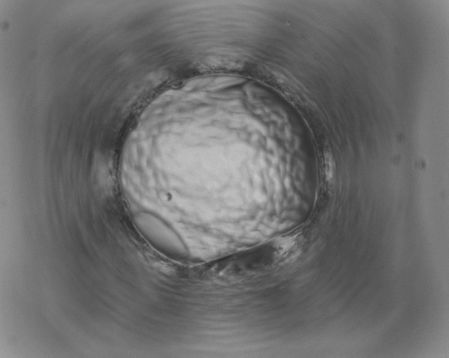 X0000074280915200609151848