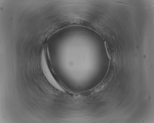 X0000074280916200609151848