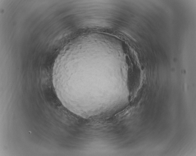 X0000074280917200609151848