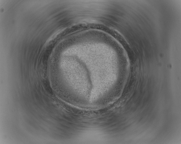 X0000074280919200609151848