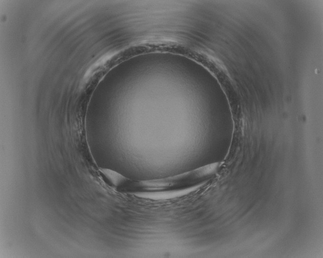 X0000074280920200609151848