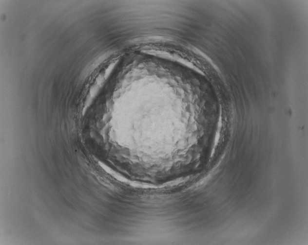 X0000074280921200609151848