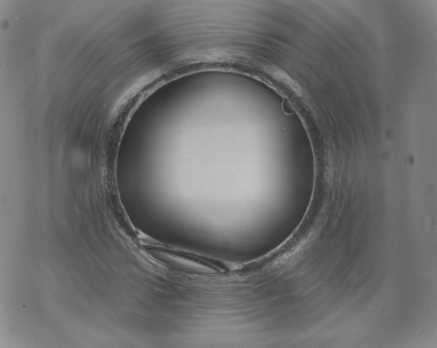 X0000074280922200609151848