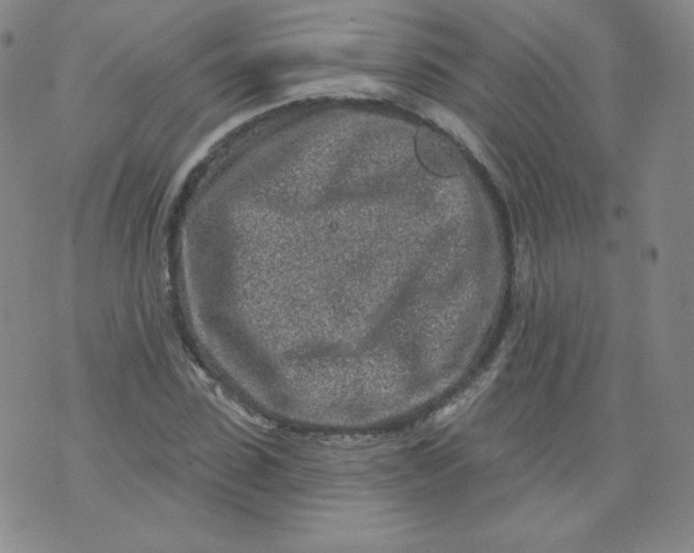 X0000074280923200609151848