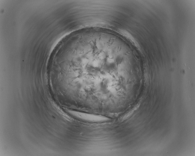 X0000074280924200609151848