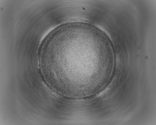 X0000074280925200609151848