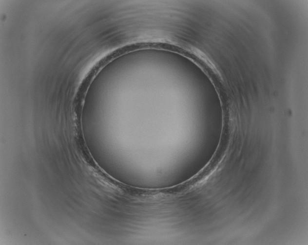 X0000074280926200609151848