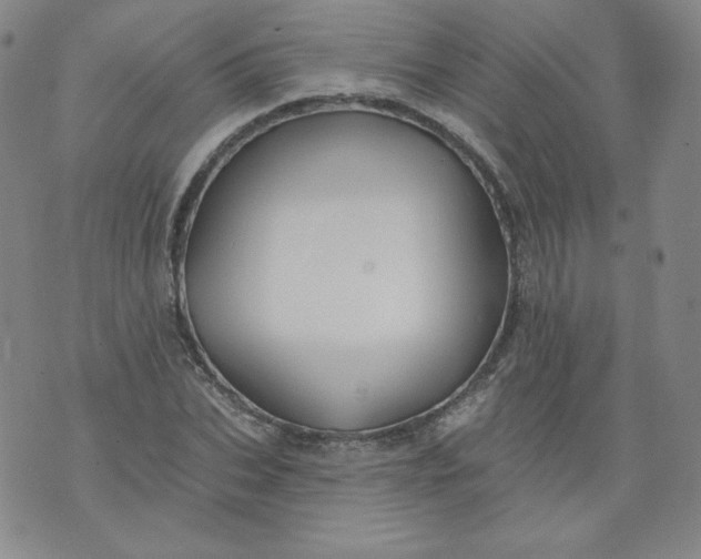 X0000074280927200609151848